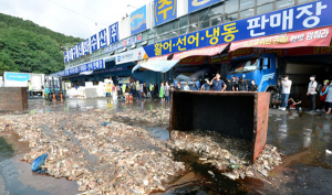 대구수산물도매시장 “고법 판결 이후” vs 대구시 “시간끌기”