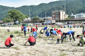 청송군, 용전천변 일제 정비 전 직원 출동