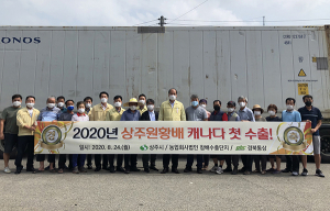 ‘상주 원황배’ 캐나다 첫 수출 길에 오른다