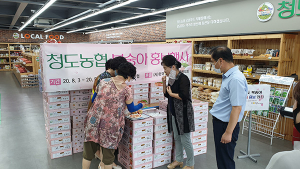 청도농협, 복숭아 홍보 및 특판행사 실시