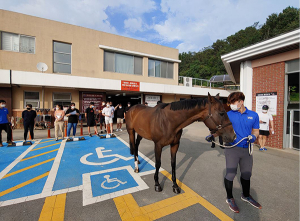 대구시설공단 대덕승마장, 코로나19 대응 모의훈련