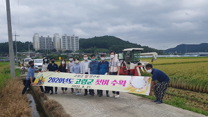 고령군 대가야읍서 첫 벼 수확
