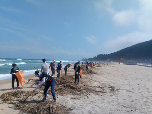 환동해지역본부 동해안 해양쓰레기 환경정비