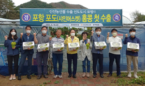 포항 고급 청포도 ‘샤인머스켓’ 첫 수출 길 올라