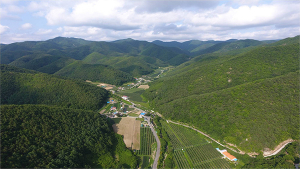 포항시, 산림경영단지 사업에 선정