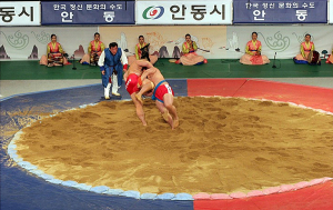 제57회 대통령기 전국장사씨름대회 안동서 열려