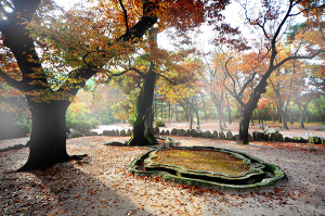 “천년고도 경주, 아름다운 가을 풍경 속 달리다”