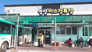 영양군 시외버스 터미널 임시진단소 노선 확대