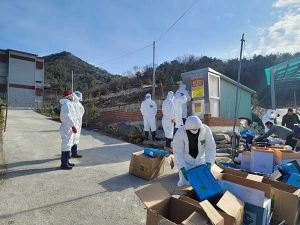 상주 산란계 농장서 고병원성 조류 인플루엔자 확진