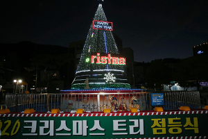 청도군, 2020 크리스마스 트리 점등식 가져
