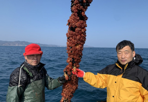 道, 양식어가에 배합사료 구매자금 최대 2억 지원