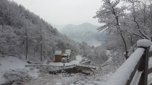“숲에서 행복을, 산에서 희망을”…산에서 그리는 성주 미래 100년 청사진