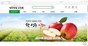 영주·봉화 농특산물 온라인 쇼핑몰 인기 짱