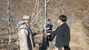영덕군, 과수 화상병 예찰 및 방제약제 지원