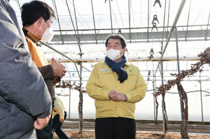 김충섭 시장, 한파 피해 영농현장 방문 