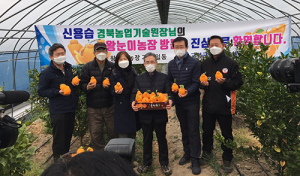 신용습 경북농업기술원장, 고령 한라봉 농가 방문