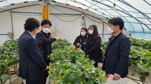 예천군농기센터, 스마트팜 농가 맞춤형 상담