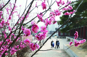 봄 산책 즐기는 사람들