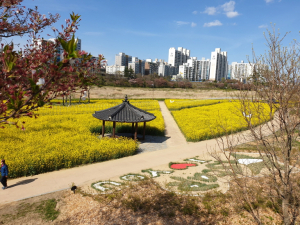영천, 시민행복 도시공원 조성 전력