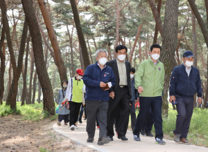 “코로나 블루…포항 숲길 걸으며 치유하세요”