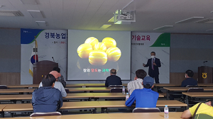 경북농기원, 참외·복숭아 전문수출단지 육성 종합기술지원 나서