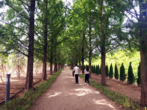 공단 주변 미세먼지 ‘차단숲’ 조성
