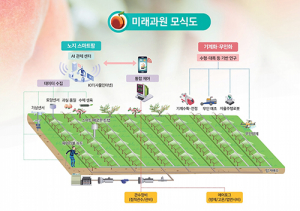 경북농기원 “청도에 ‘미래형 스마트 노지과원’ 구축”