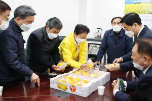 참외 수출전문단지 신규 지정… 경쟁력 강화
