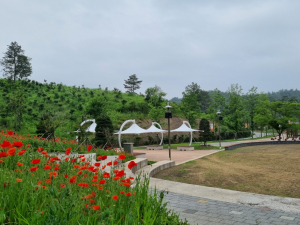 군위 ‘삼국유사테마파크’ 1주년 7월 볼거리 즐길거리 풍성