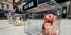 전국서 마지막 남은 ‘대구 칠성 개시장’ 사라지나