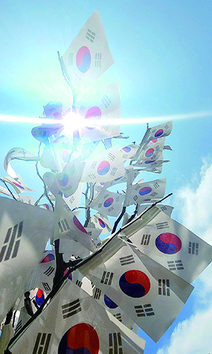 ‘태극기 나무 사이로 내리쬐는 햇빛’