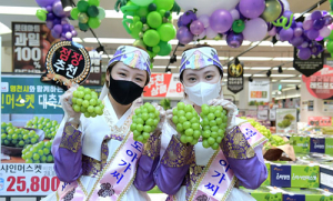 영천 포도, 롯데마트 전국 매장서 특판 행사