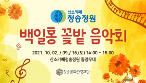 청송 ‘백일홍 꽃밭음악회’ 개최 10월 9일·16일 토요일 2시 다채로운 음악 공연으로 구성