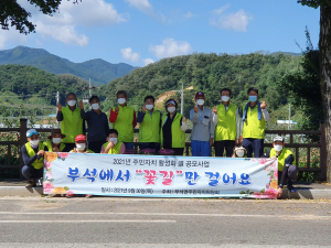 영주시 부석면 주민자치위원회 1.4km 구간 국화 식재