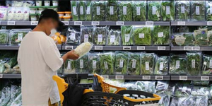 물가 6개월 연속 2%대 고공행진…대구 2.5%·경북 2.7%