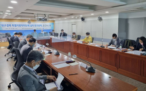 대구경북 특별지방자치단체 설치방안 연구 중간보고