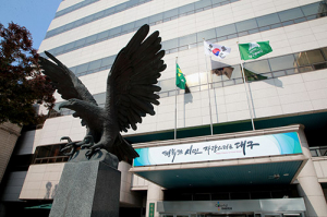 대구시·경북도 청년정책 빛좋은 개살구…