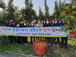 상주시 남원동, 감 농가 일손 돕기 