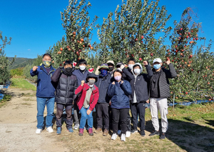 영덕군, 수확철 맞아 농촌일손돕기 실시