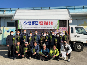 칠곡군, 낙금화훼단지 재배 백합 ‘일본 수출’ 