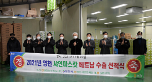 영천시, 스타 샤인머스켓 중국·동남아 수출 확대