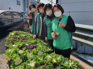 대구 북구 검단동 행정복지센터 꽃양배추‧밀 겨울꽃 공원 식재
