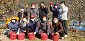영덕군 지품면 직원들, 일손부족 농가 봉사활동