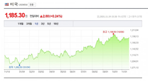흔들리는 환율 어디로<2>