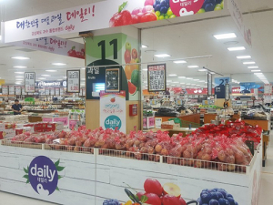 경북 과수 통합마케팅 매출 7000억…사상 최대