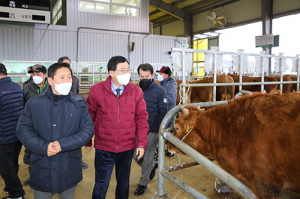 주낙영 경주시장, 신년맞이 가축시장 방문… 축산농가 격려