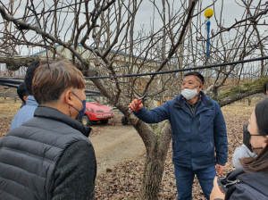 상주시농업기술센터, 과수화상병 예방 활동