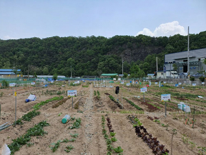 북구, ‘도심속 농부’ 공영도시농업농장(텃밭) 분양