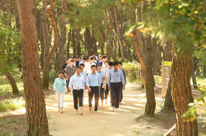 경북도 “산에서 돈 나온다”…산림 사업 5대 과제 추진