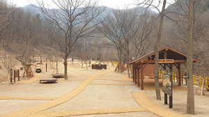 수성 대흥동 유아숲체험원서 “자연을 느껴요”